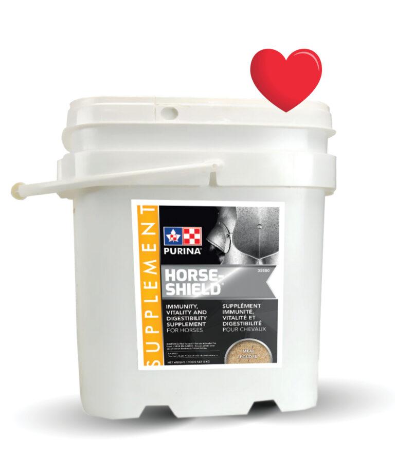 Horse supplement Favorite of the month November