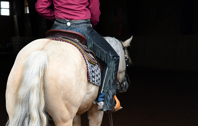 western pleasure riding horse