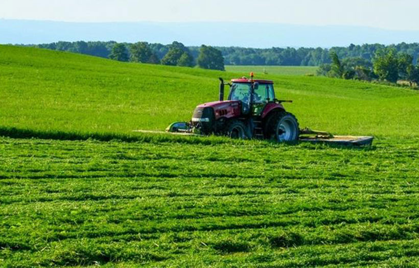 tractor cutting alfalfa