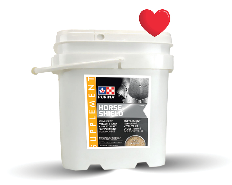 Horse-Shield product image