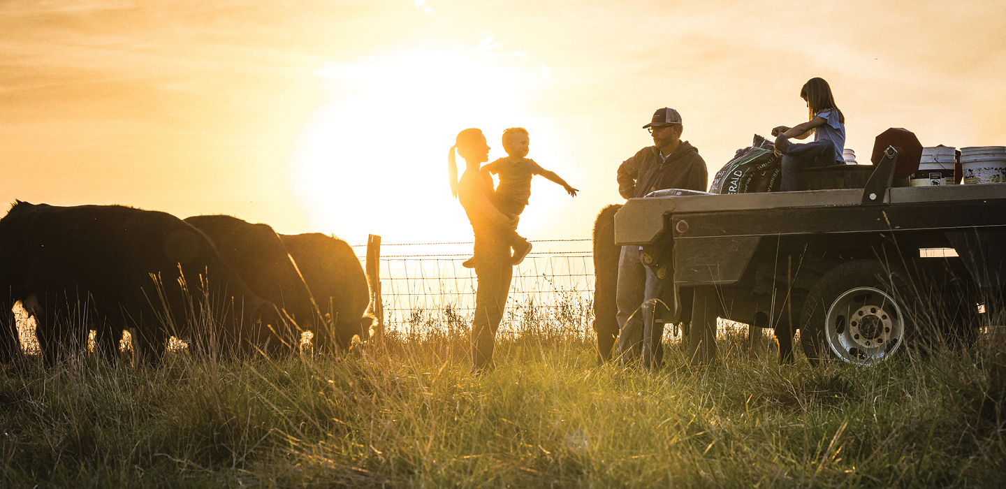 Family in pasture with beef cattle