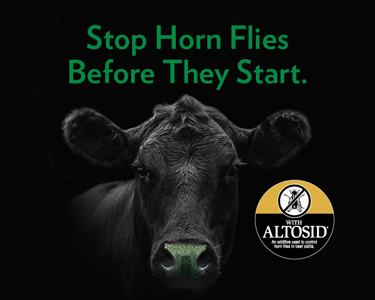 Right Now Mineral Altosid Stop Horn Flies Before They Start