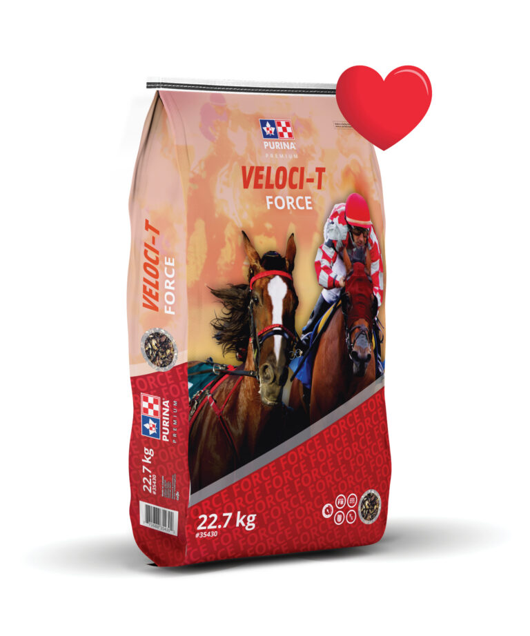 Veloci-t Heart favorite