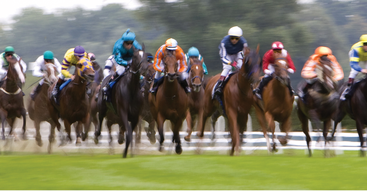 racehorses racing in Ontario Canada