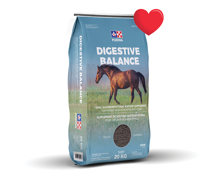 Monthly favourtie digestive balance heart