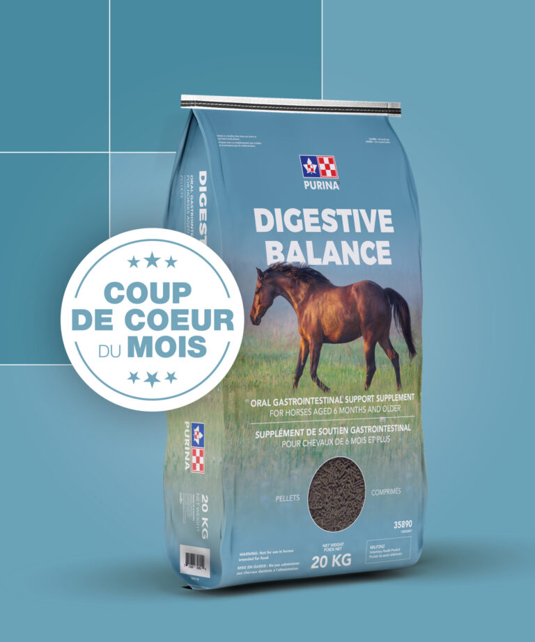 French monthly favorite digestive balance