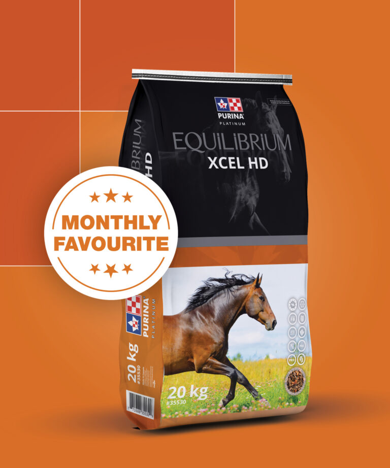 Monthly favorite product April